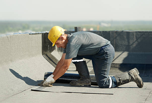 Best Insulation Maintenance and Repair in High Point, FL